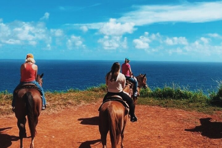 Maui Horseback Adventure at Circle M Ranch With Real Cowboys - Photo 1 of 14